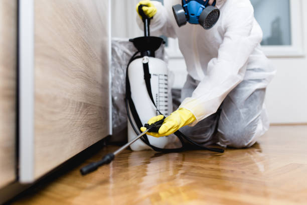 Best Residential Pest Control  in West Point, UT