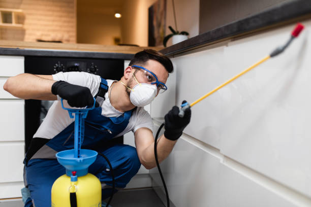 Best Pest Inspection Near Me  in West Point, UT