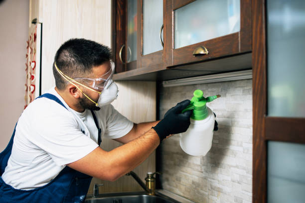 Best Pest Inspection Near Me  in West Point, UT