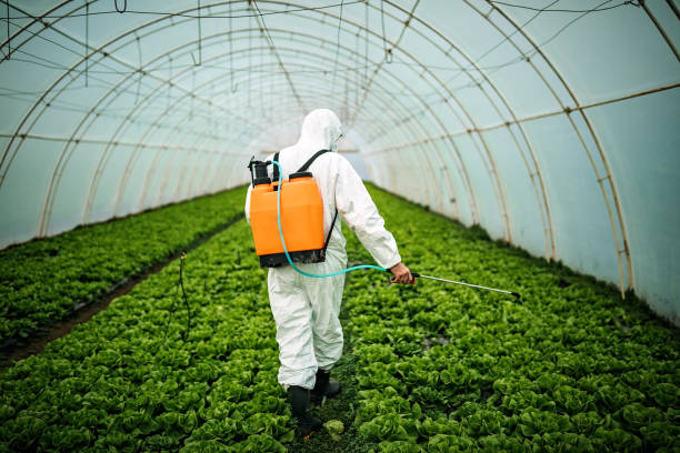 Reliable West Point, UT Pest Control Solutions