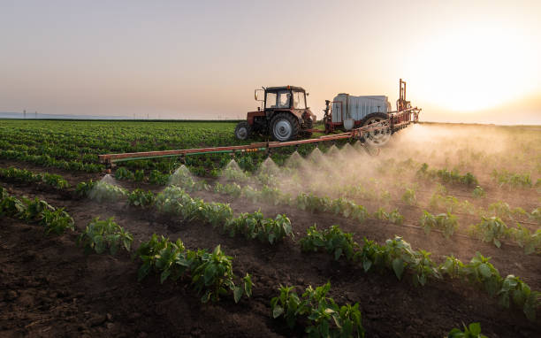Best Commercial Pest Control Services  in West Point, UT