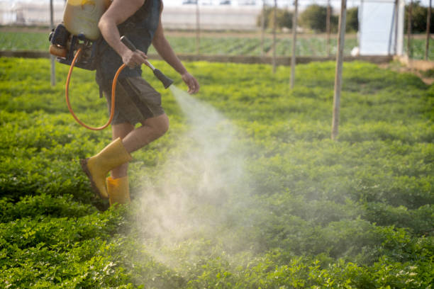 Best Affordable Pest Control Services  in West Point, UT