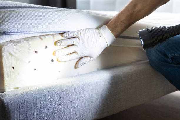 Best Pest Removal Services  in West Point, UT