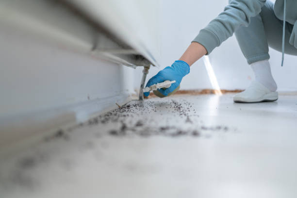 Best Pest Control Near Me in West Point, UT